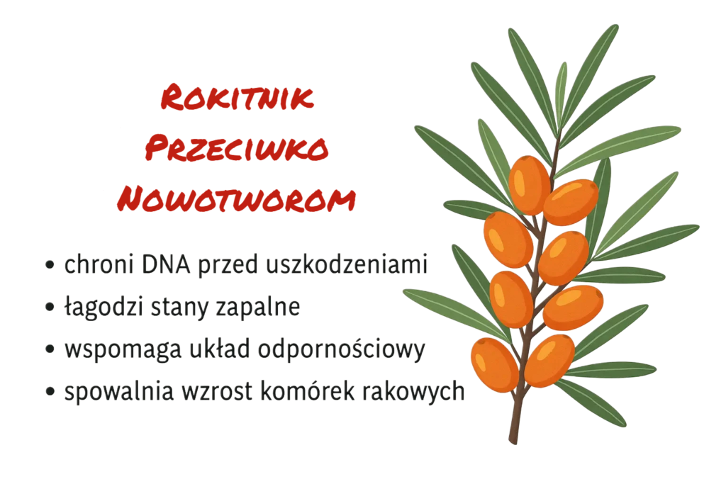 rokitnik-sok-z-rokitnika-na-nowotwory-przeciw-rakowi-wygraj-z-rakiem rokitnik-sok-z-rokitnika-na-nowotwory-przeciw-rakowi-wygraj-z-rakiem